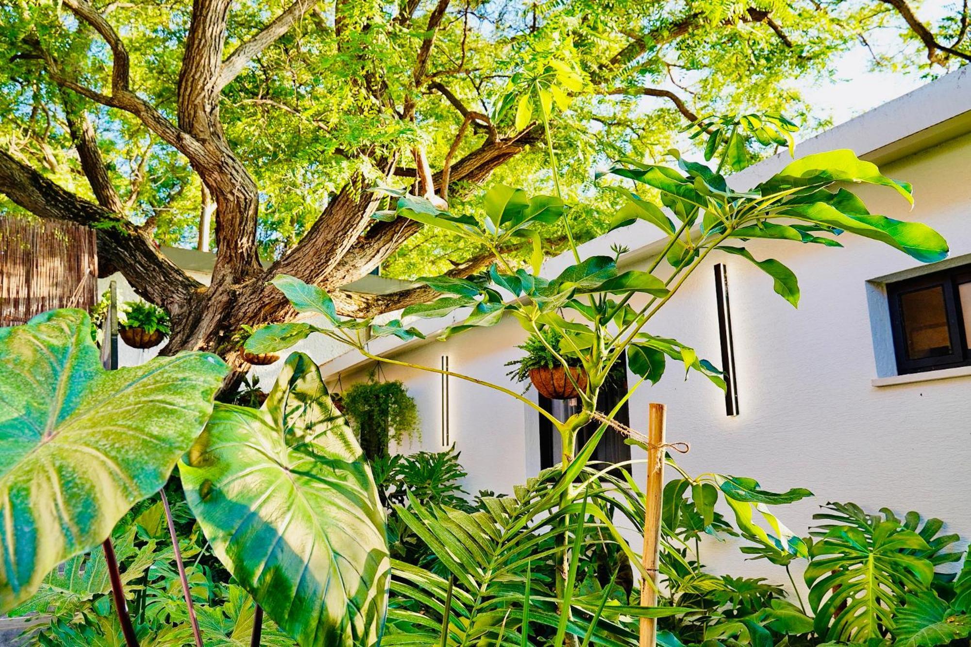 אדמת הארץ - Admat Haaretz Villa Hazon Dış mekan fotoğraf